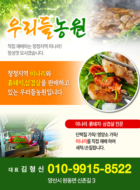 직접 재배하는 청정지역 미나리! 정성껏 모시겠습니다.